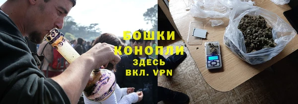 шишки Алексеевка