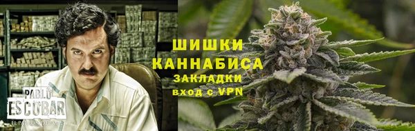 прущие крисы Абаза