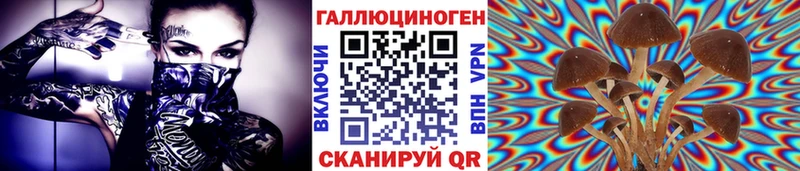 Псилоцибиновые грибы Magic Shrooms сколько стоит Ядрин